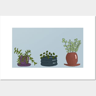 Plant Trio 2 Posters and Art